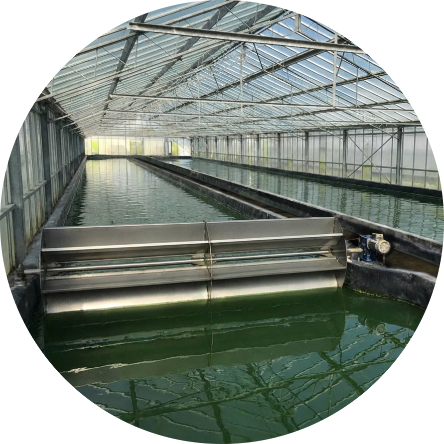 serre et bassins village spiruline<br />
